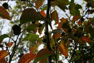 GNXeAE̊ǗEԂ