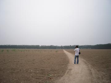 vn