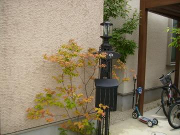 �c�Z�l�哔�̃K���X��������