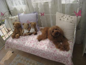 �~���g����