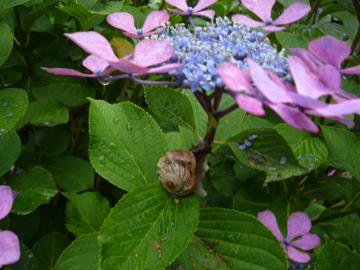 �J�^�c����