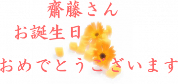 a߂łƂ܂