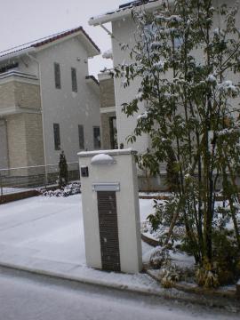 �G�N�X�e���A��t�A����ɐ�