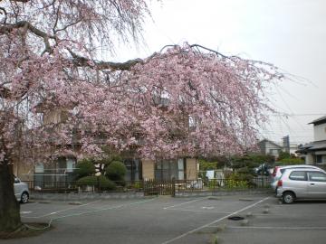 ��t�V�_����