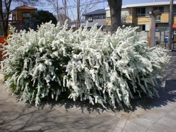 ���L���i�M