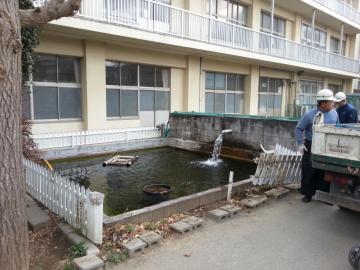 �t�F���X�����H��