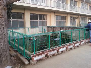 �t�F���X�����H��