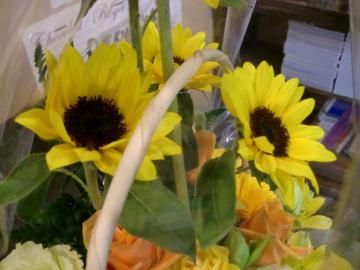 t[AWg@̃GNXeAK[f͓rHƂ܂Ł