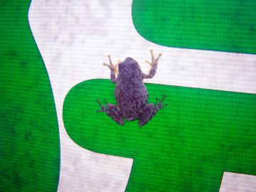 �A�}�K�G��