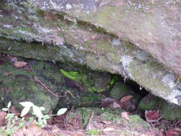 �Ђ��育��