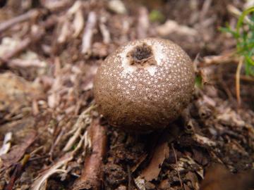 �ق��肽��