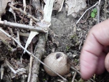 �ق��肽��