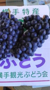 ����̂Ԃǂ�