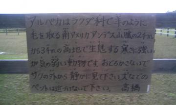 ���ӏ���