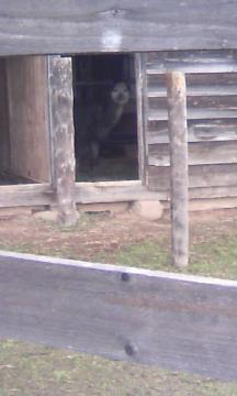 ���̂̂��P�I