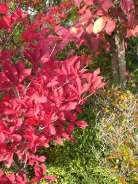 �h�E�_���c�c�W