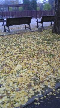 �x���`�ɒN���E�E�E�E