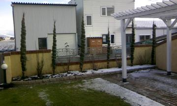 �R�j�t�@�[�͂�