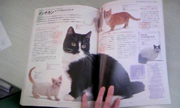 �}���`�J��