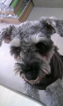 �Ƃ������