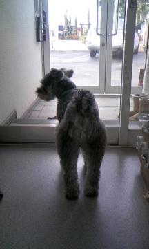 ���K����