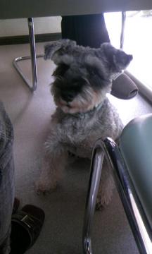 ��������o����