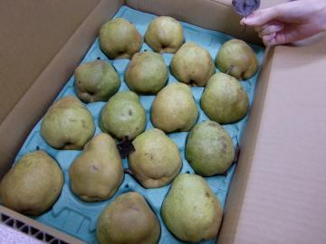 ���t�����X