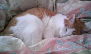 ������܂�