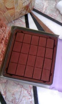 ���C�Y�@���`���R���[�g �O�����}���j�G