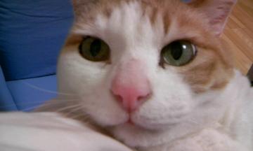 �L�̓���������