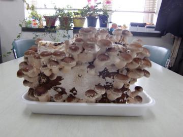 ���������S