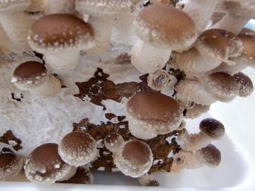 ���������R