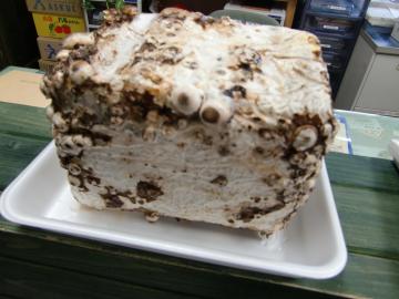 ���������P