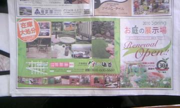 �k�C���V��