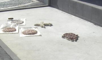 �����ܑ��@�^