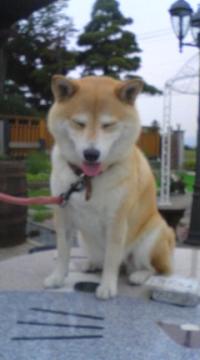 �����炿���