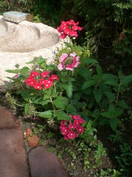 �o�[�x�i�@