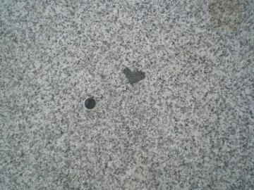 �~�J�Q�n�[�g