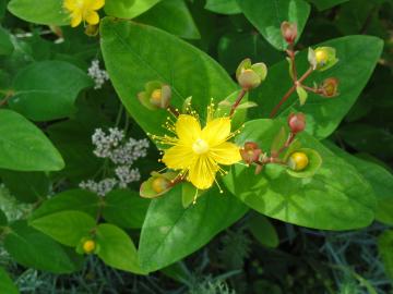 �q�y���J��