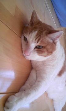 �����i�{�j