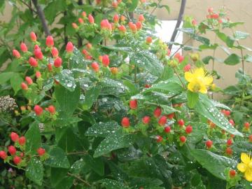 �q�y���J��