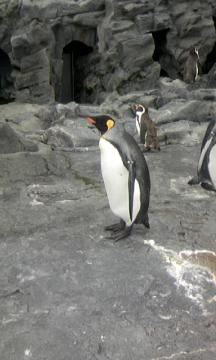 �y���M��