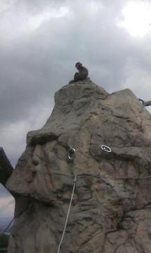 �T���R�̂Ă��؂�