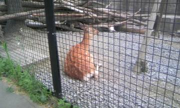 ���ł����I�H