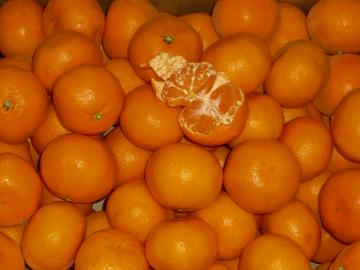 �O�P���݂���