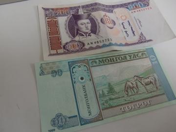 �����S������