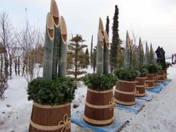 �叼������