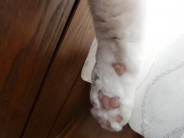 �����E�E�E