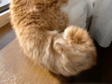 �����ۂۂ�