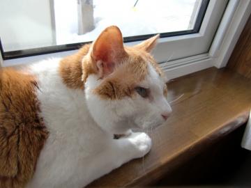 ���E�E�E�E�Ȃ��ɁE�E�E�E